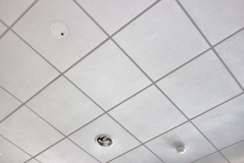 Grid Ceiling Installation in Boulder, CO