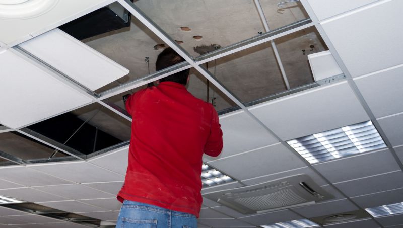 Suspended Ceiling Service
