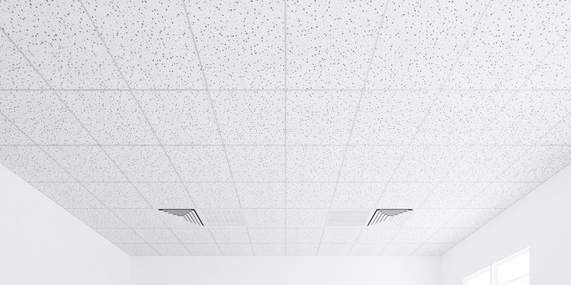 Suspended Ceiling Service
